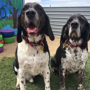 Meet your Posher, Stacey